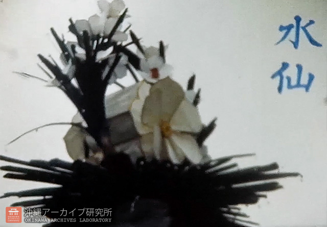 赤畠大德 バタナイフ 2個 タビュ